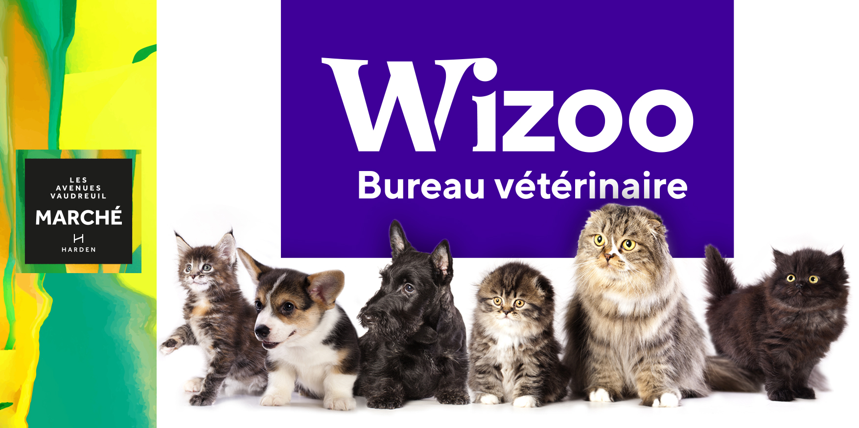 Groupe Vétérinaire Wizoo : Bientôt à l’Avenue Marché